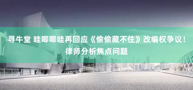 寻牛堂 哇唧唧哇再回应《偷偷藏不住》改编权争议！律师分析焦点问题