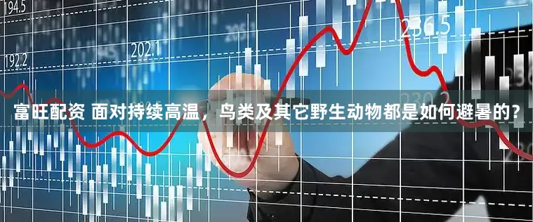 富旺配资 面对持续高温，鸟类及其它野生动物都是如何避暑的？