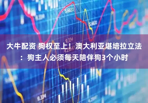 大牛配资 狗权至上！澳大利亚堪培拉立法：狗主人必须每天陪伴狗3个小时