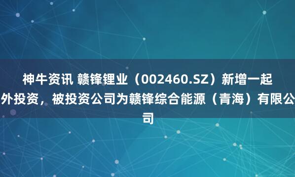 神牛资讯 赣锋锂业（002460.SZ）新增一起对外投资，被投资公司为赣锋综合能源（青海）有限公司