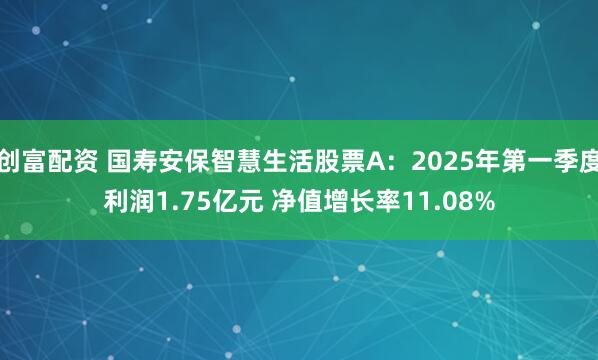 创富配资 国寿安保智慧生活股票A：2025年第一季度利润1.75亿元 净值增长率11.08%
