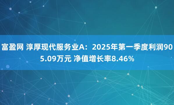 富盈网 淳厚现代服务业A：2025年第一季度利润905.09万元 净值增长率8.46%