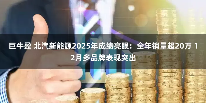 巨牛盈 北汽新能源2025年成绩亮眼：全年销量超20万 12月多品牌表现突出