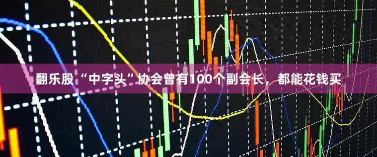 翻乐股 “中字头”协会曾有100个副会长，都能花钱买